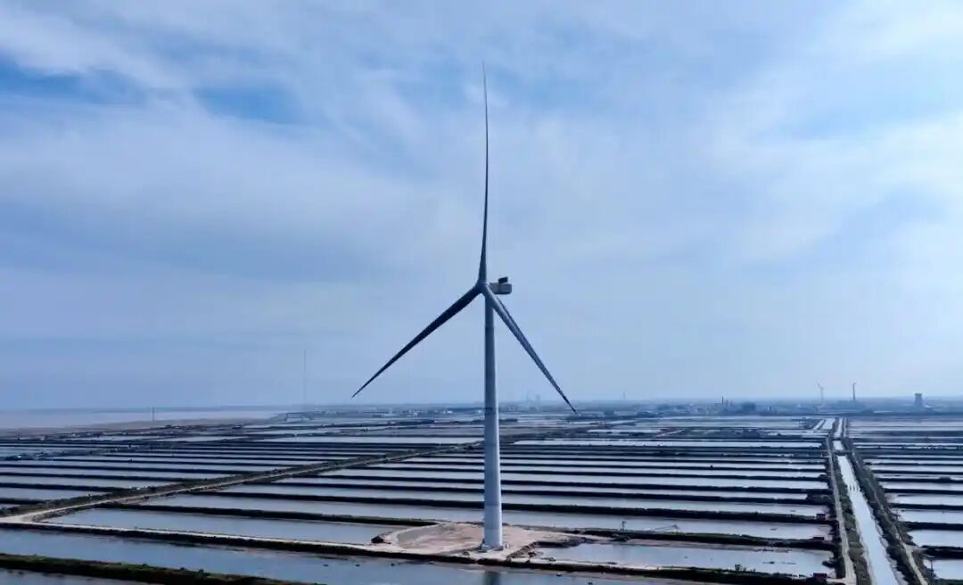 1764653588312585.jpg db976908-a340-4d91-92c7-54fc486b6a34.jpg