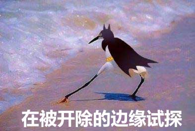 u=4102863792,1760178968&fm=26&gp=0.jpg u=4102863792,1760178968&fm=26&gp=0.jpg